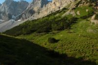 2015-07-04_1Binssattel (138).JPG